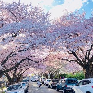 Meet your Posher, Dyna